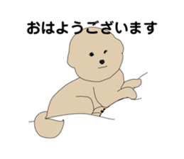 771170146