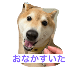 771170731
