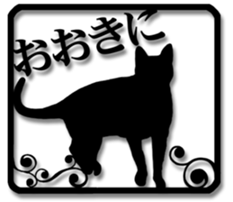 7711708