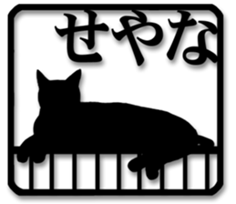 7711716
