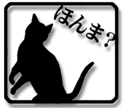 7711734