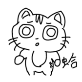 771178681