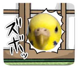 771192449