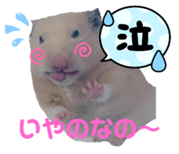 771193417