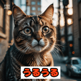 771197411