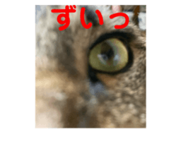 771204387