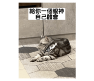 771208157