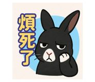 771213716
