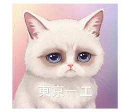 771232425