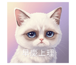 771232431