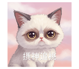 771232435