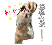 771237339