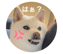 771243688