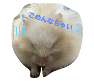 771243889