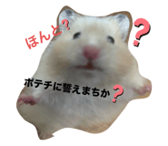 771243890