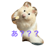 771243894