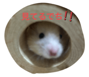 771243897