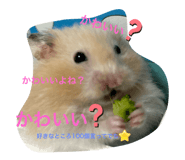771243898