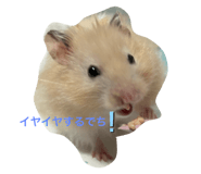 771243900
