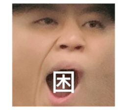 771248181