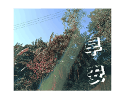 771258032