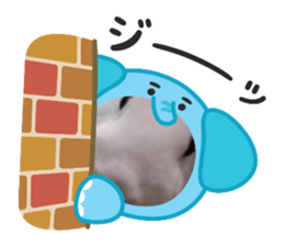 771264520