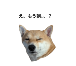 771282619