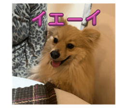 771283427