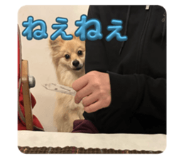 771283428