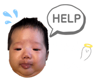 771297636