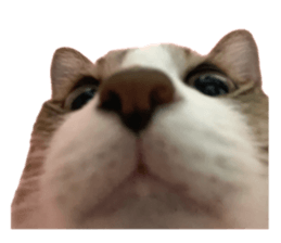 771304883