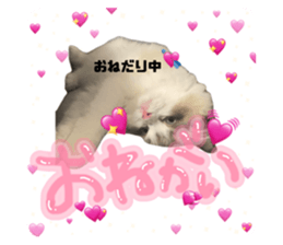 771307433