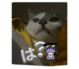 771319451