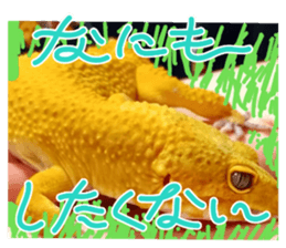 771319673