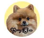 771319845