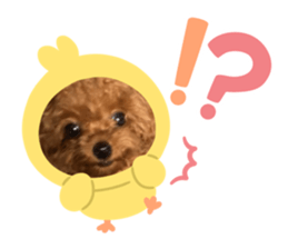 771333669