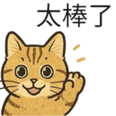 771369619