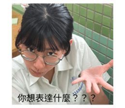 771380981