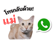 771396242