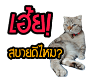 771396249