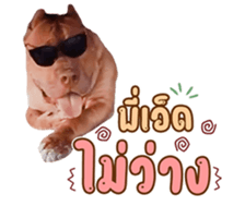 771410284