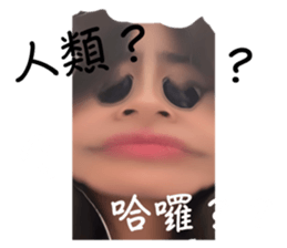 771411391