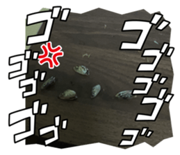 771412102