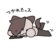 771430606