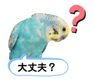 771434881