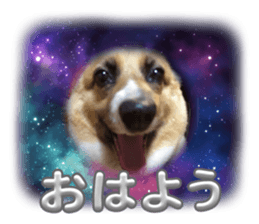 771435913