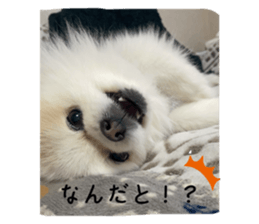 771444747