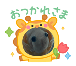 771444878