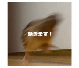 771451609