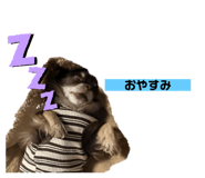 771472812